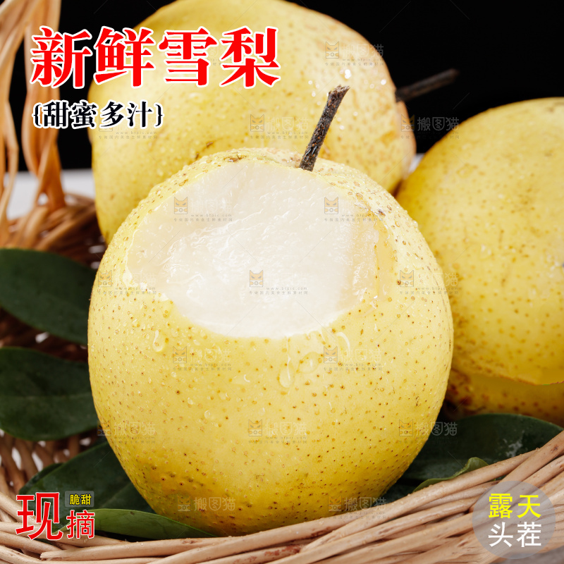 雪梨