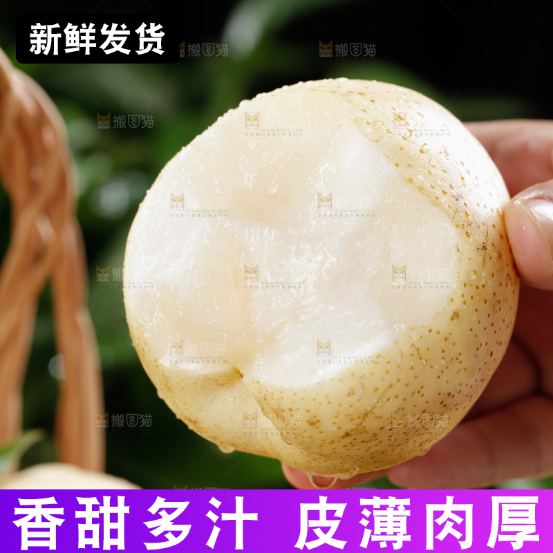 鸭梨