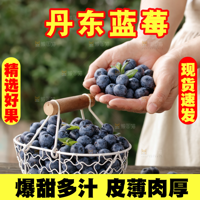 蓝莓