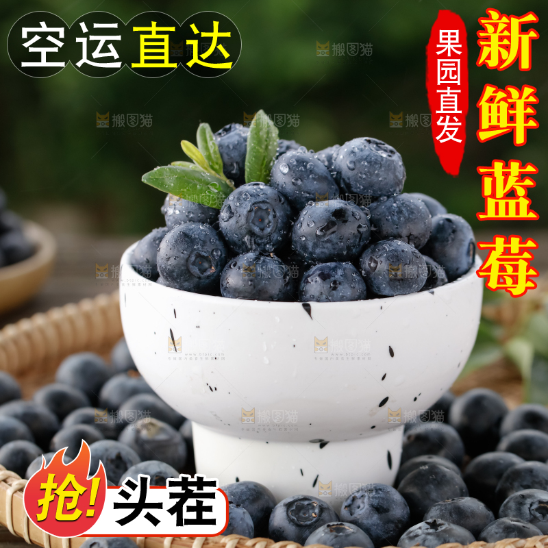 蓝莓
