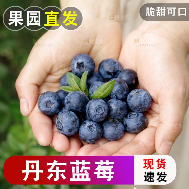 蓝莓