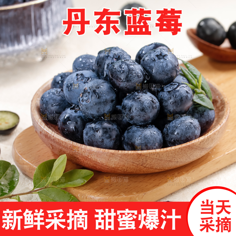 蓝莓