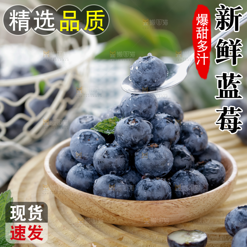 蓝莓