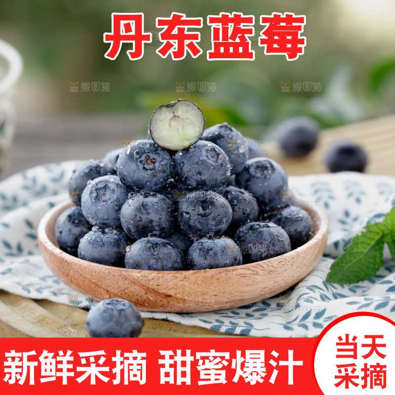 蓝莓