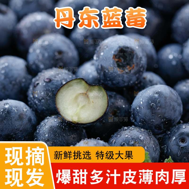 蓝莓