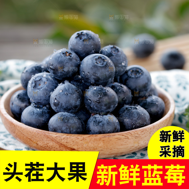 蓝莓