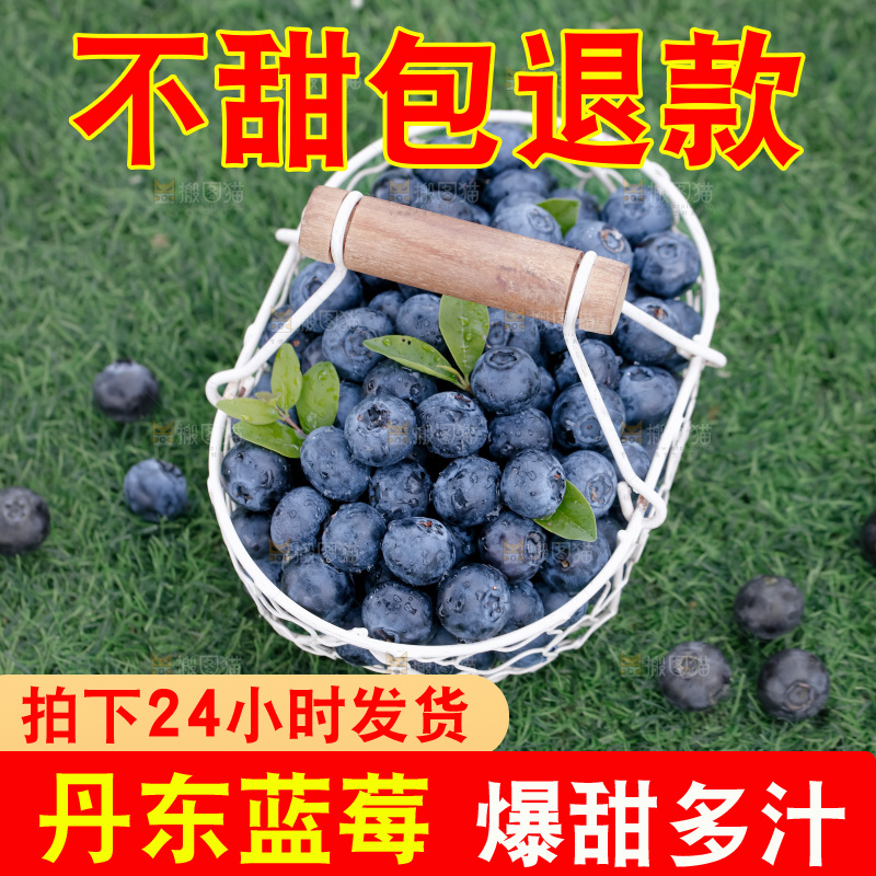 蓝莓
