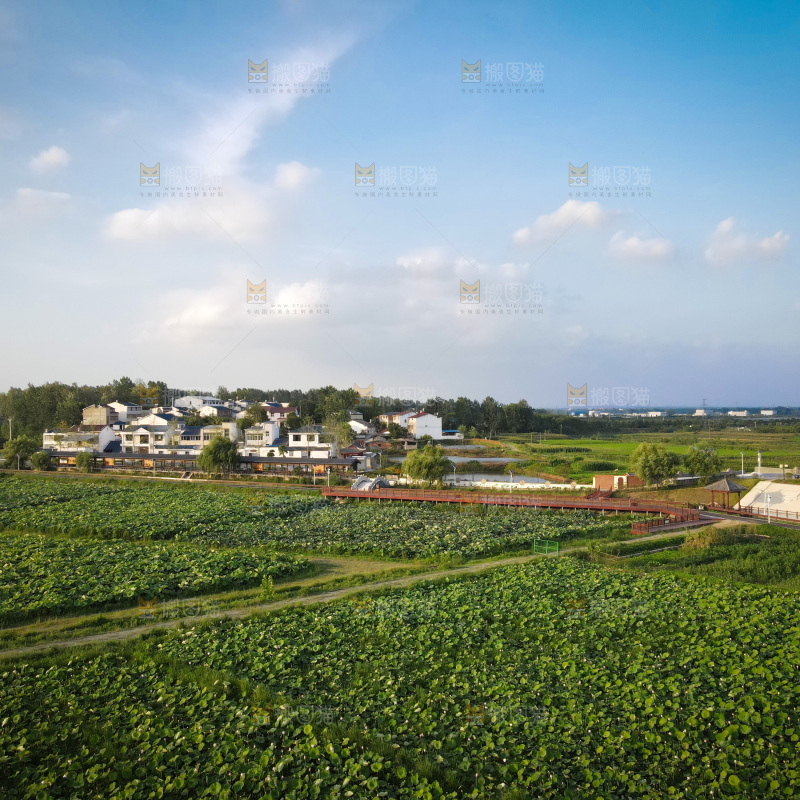 田园风光