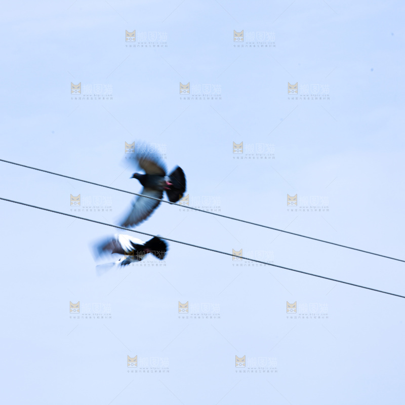 晴空万里