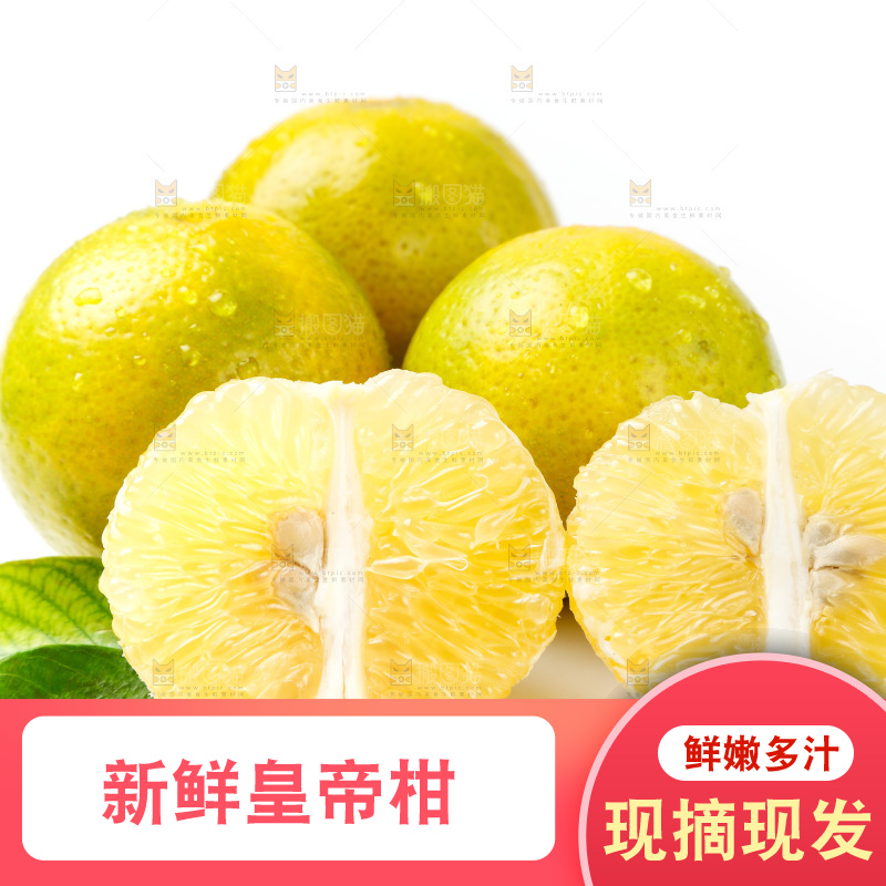皇帝柑