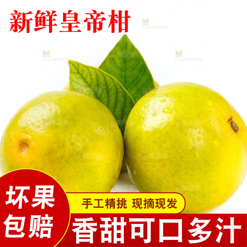 皇帝柑