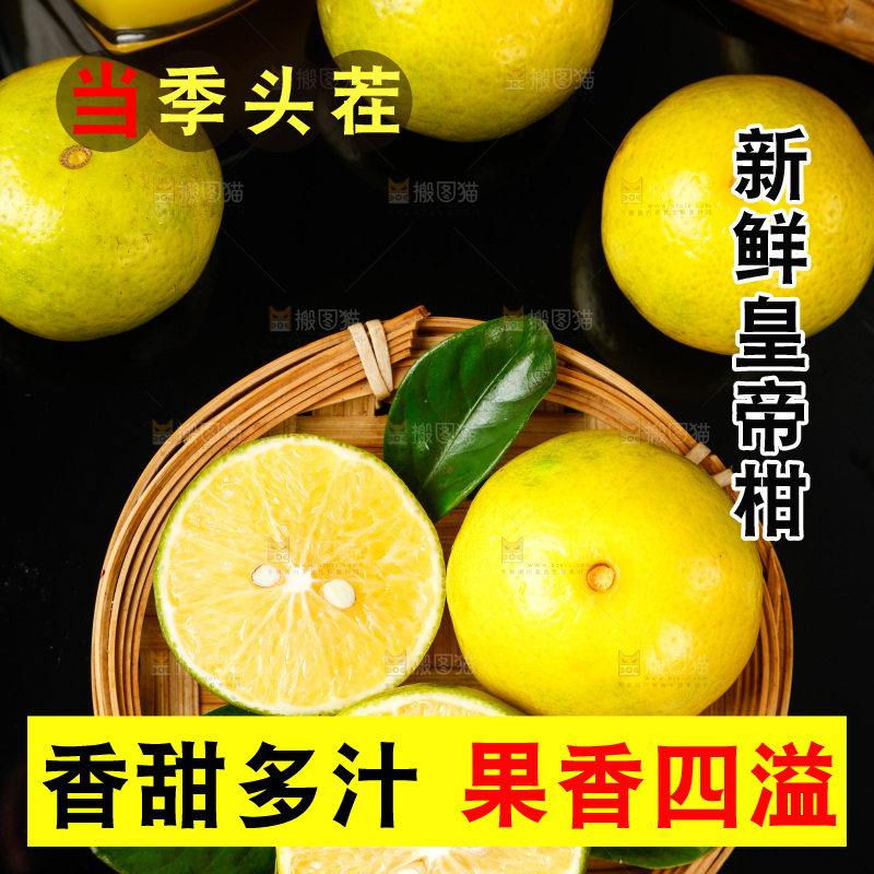 皇帝柑