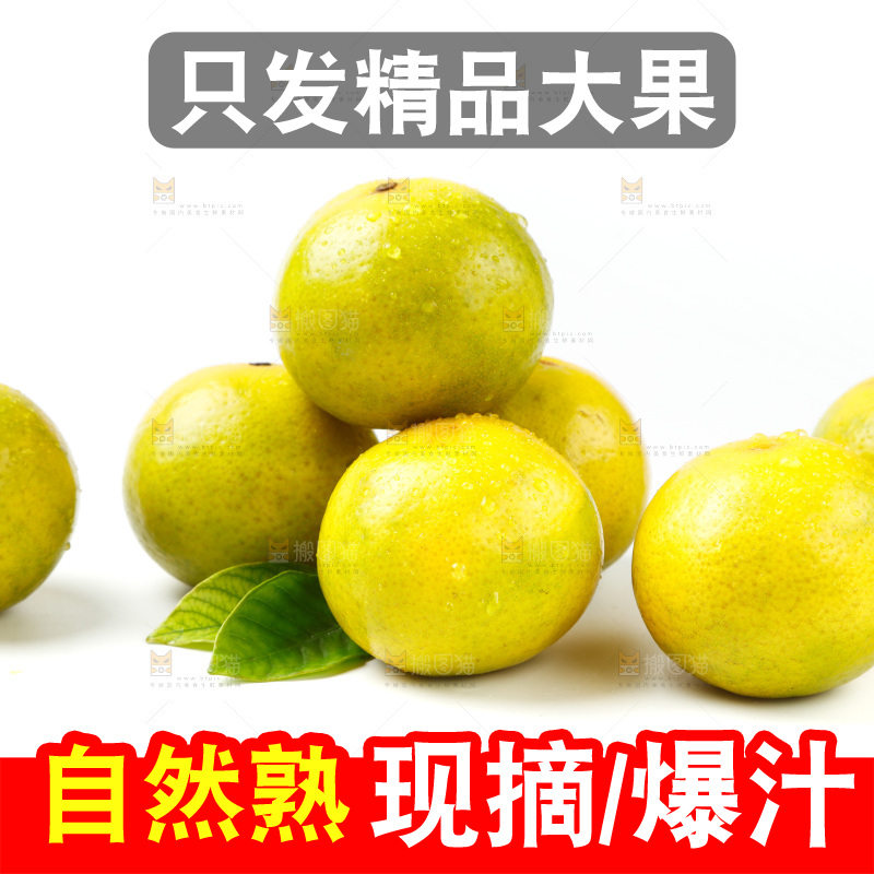 皇帝柑