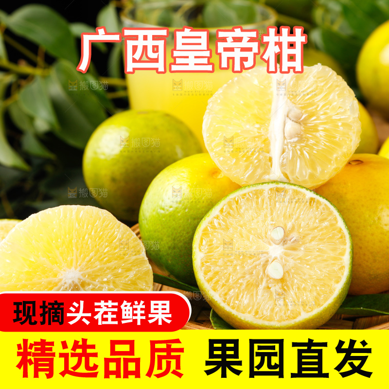 皇帝柑