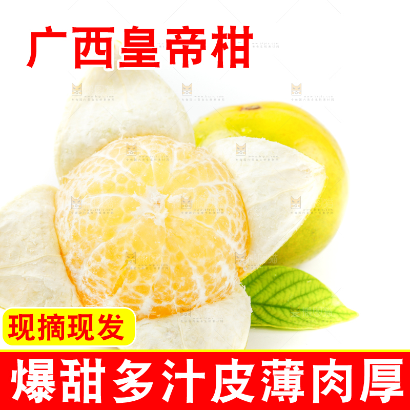 皇帝柑
