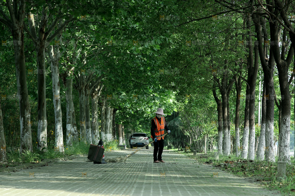 林荫大道