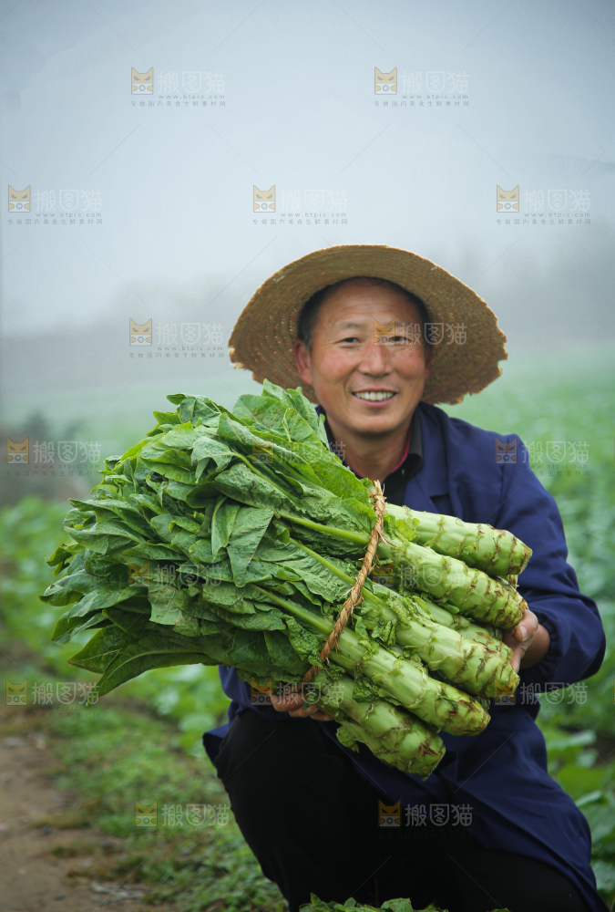 农民拿着新鲜蔬菜