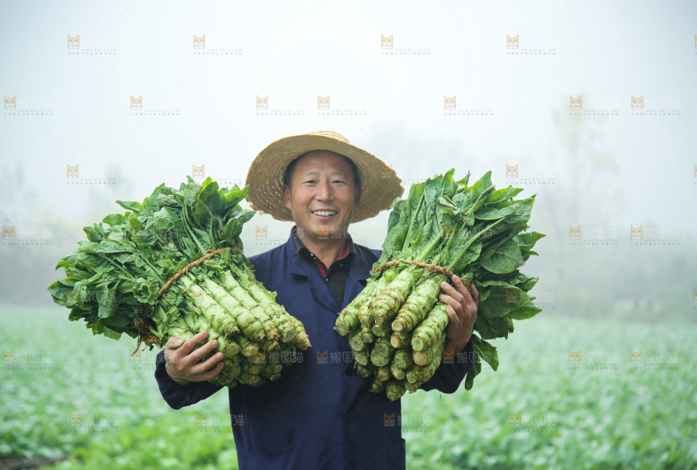 农民拿着新鲜蔬菜