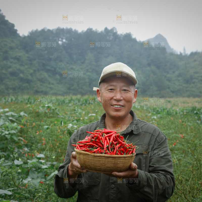 夏季菜园中的农民
