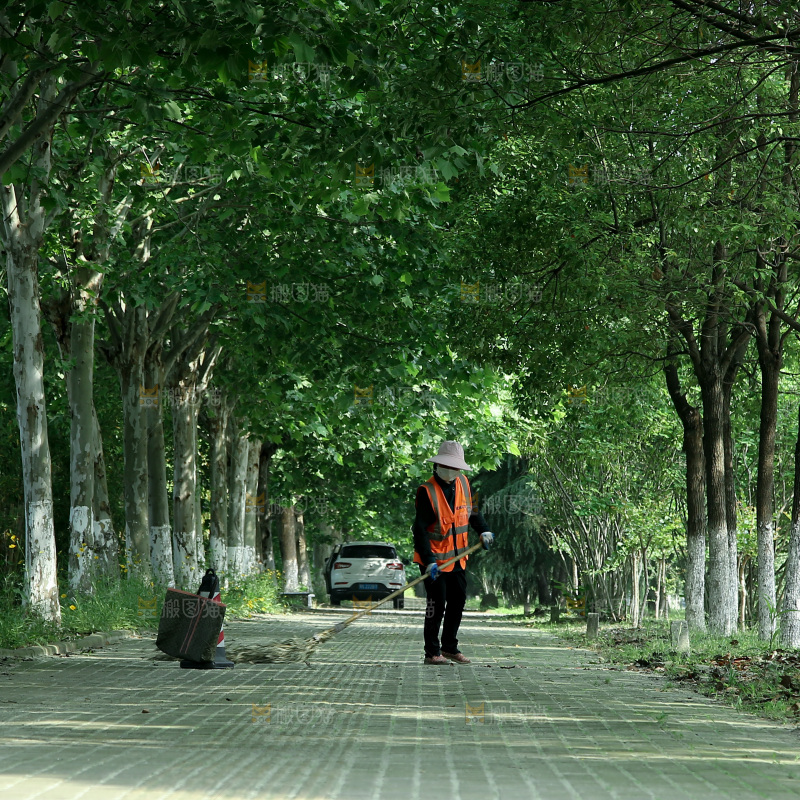 林荫大道