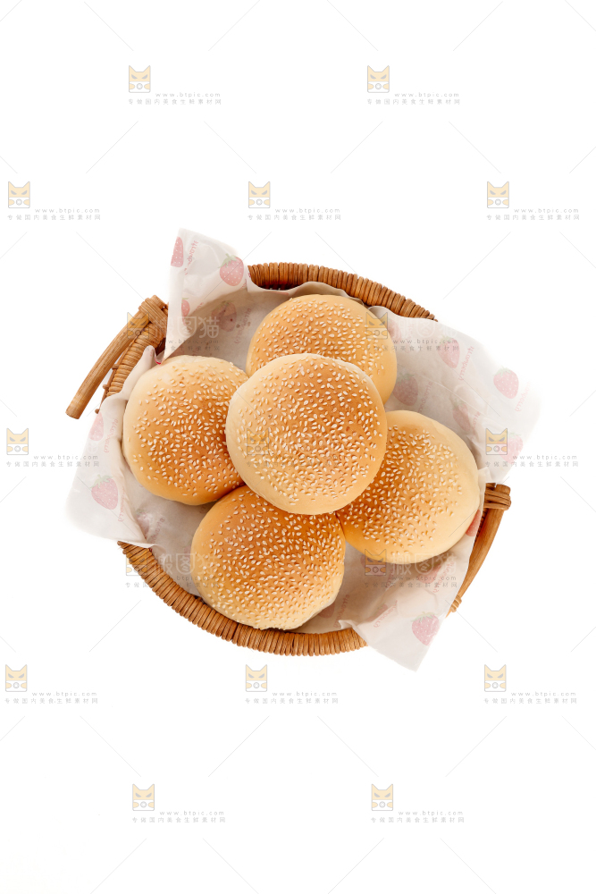 汉堡胚