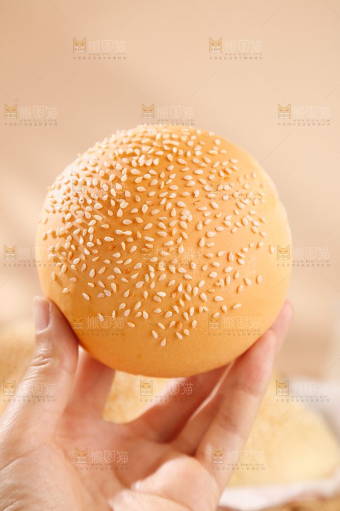 汉堡胚