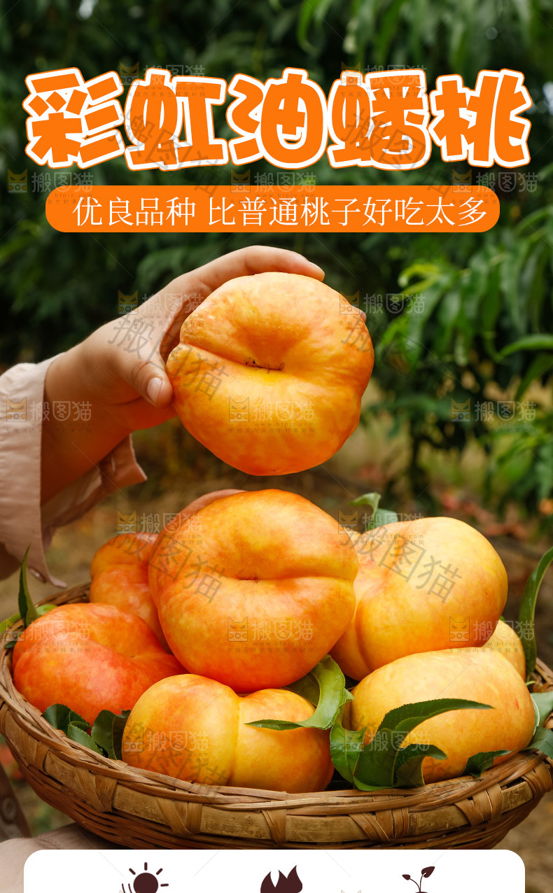 彩虹油蟠桃详情页