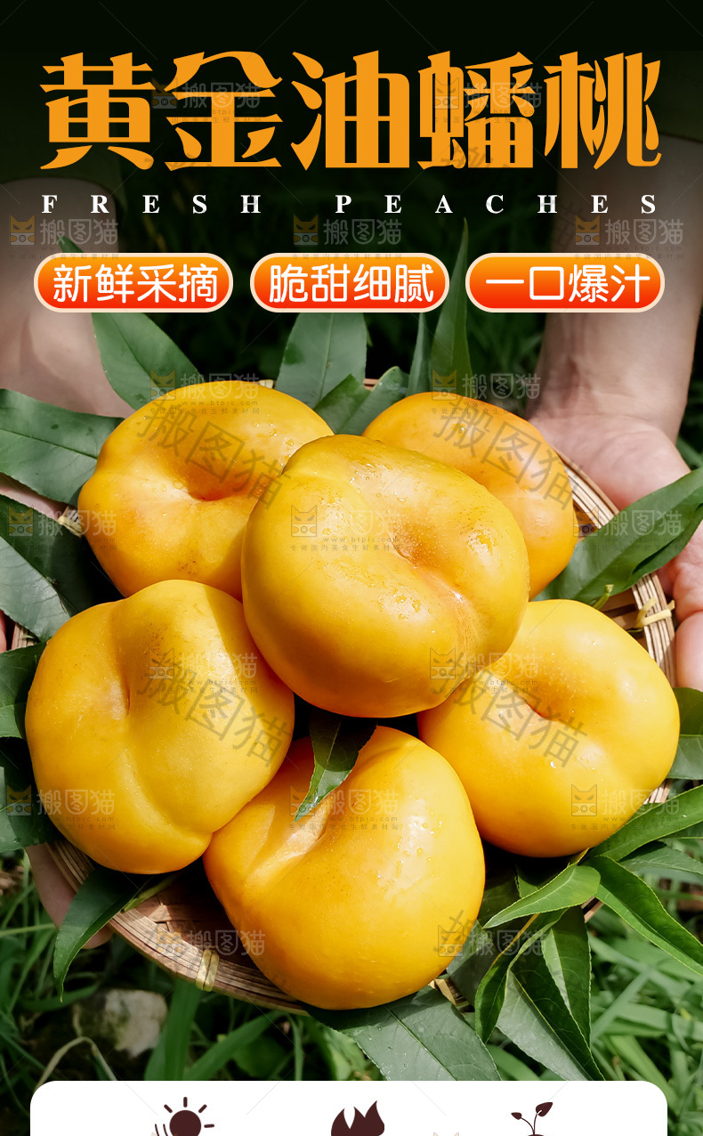 黄油蟠桃详情页