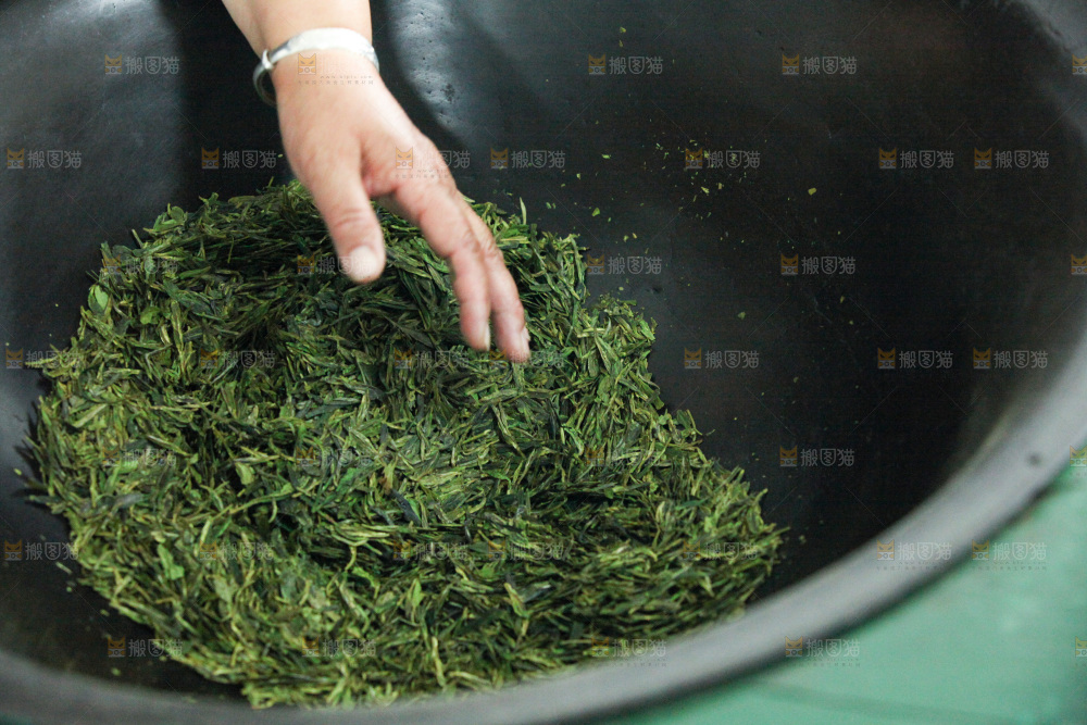 茶叶种植园