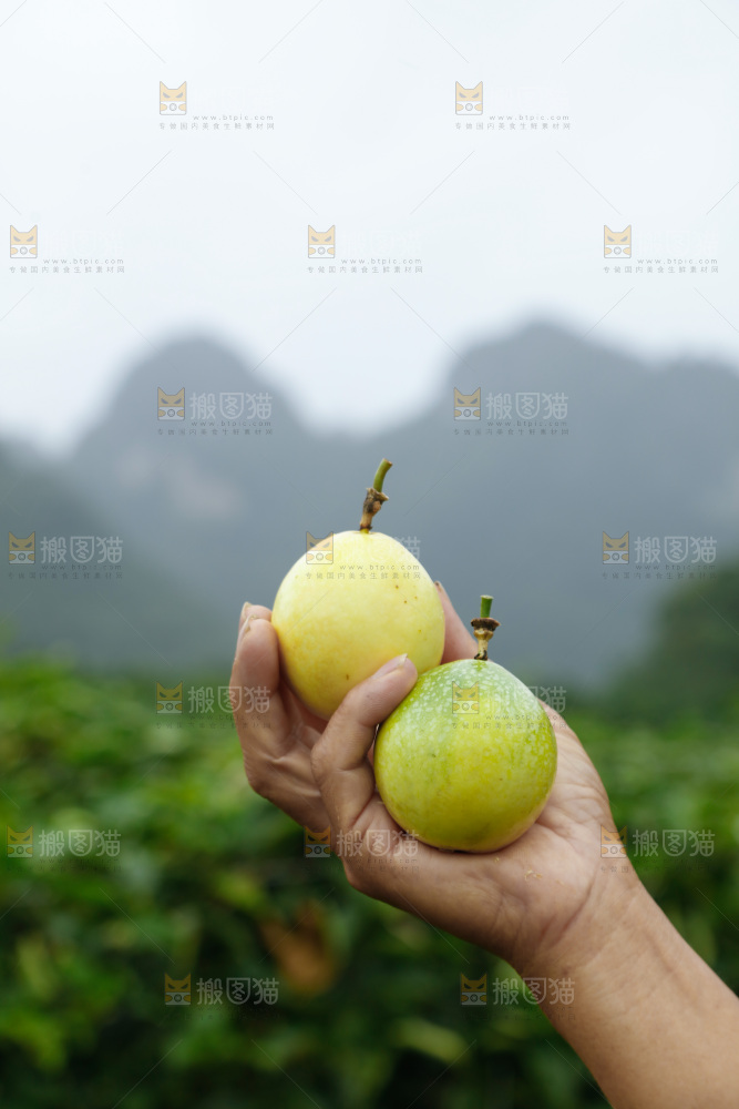 百香果果园