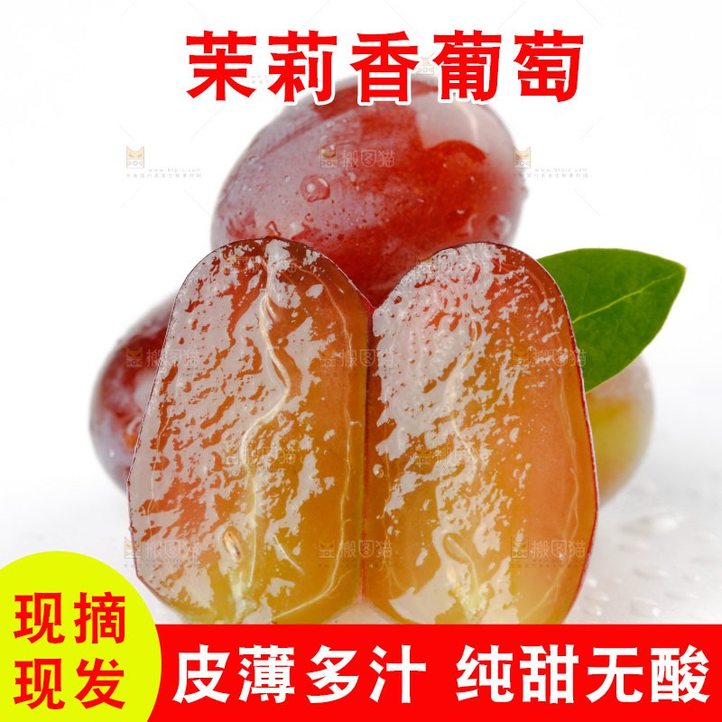 茉莉香葡萄