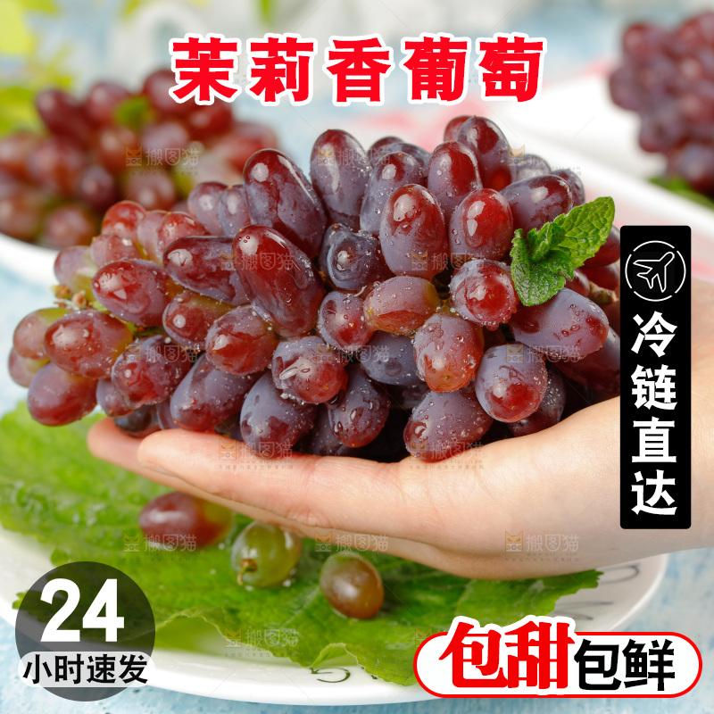 茉莉香葡萄