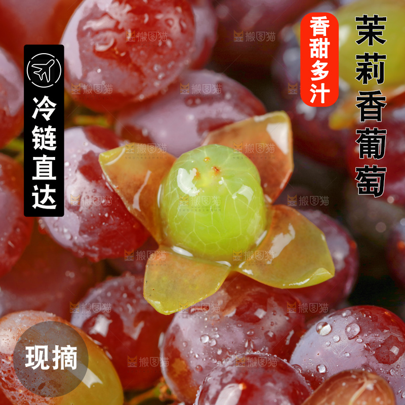 茉莉香葡萄