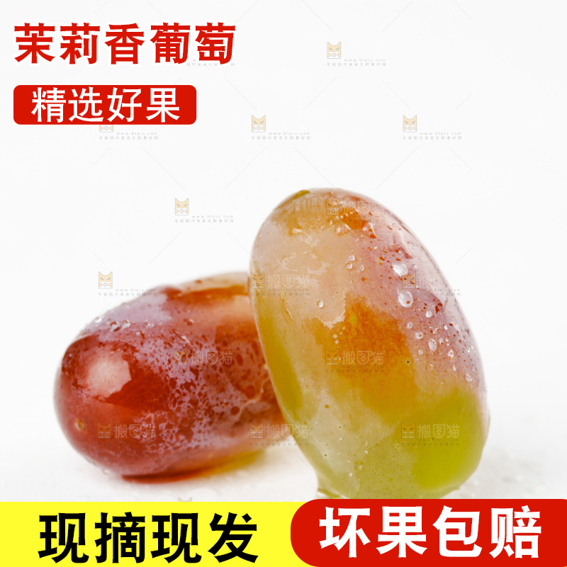 茉莉香葡萄