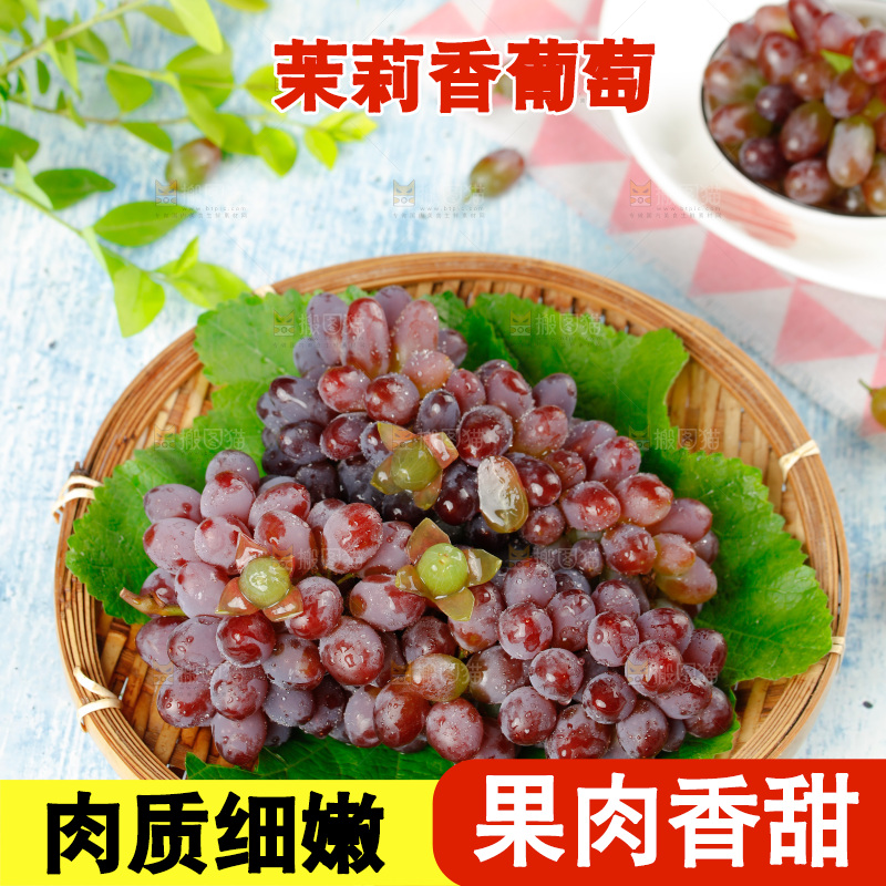 茉莉香葡萄