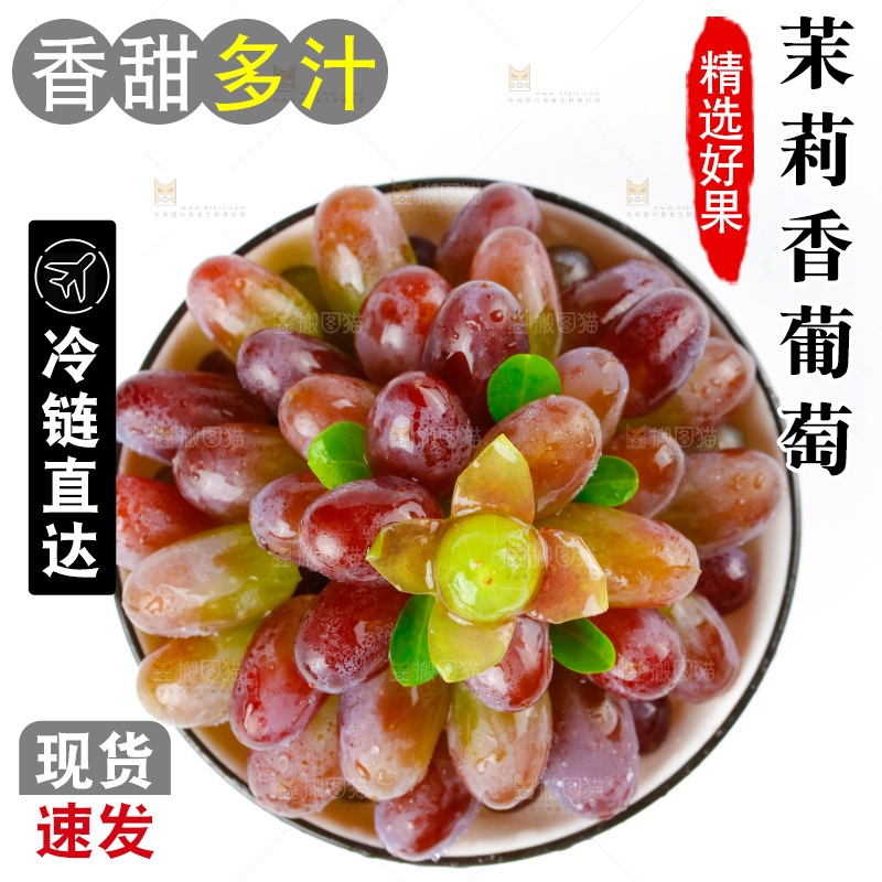 茉莉香葡萄