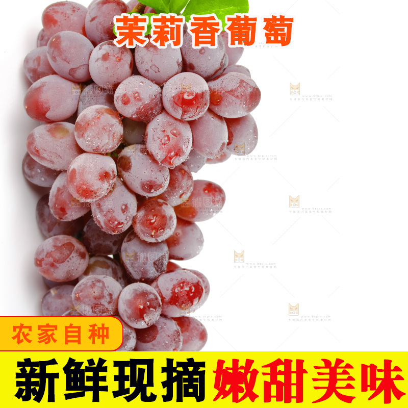 茉莉香葡萄