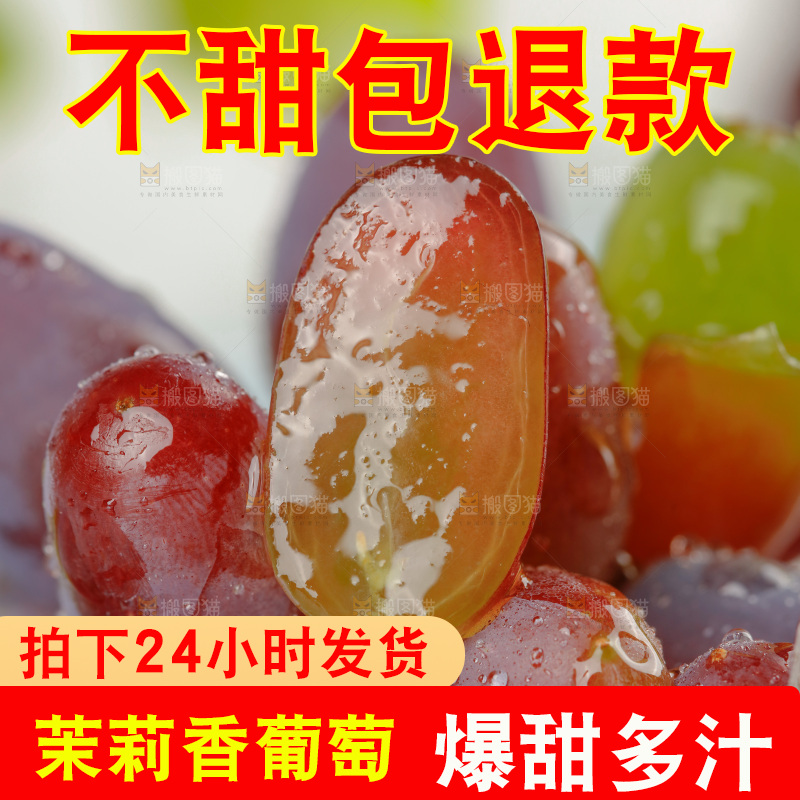 茉莉香葡萄