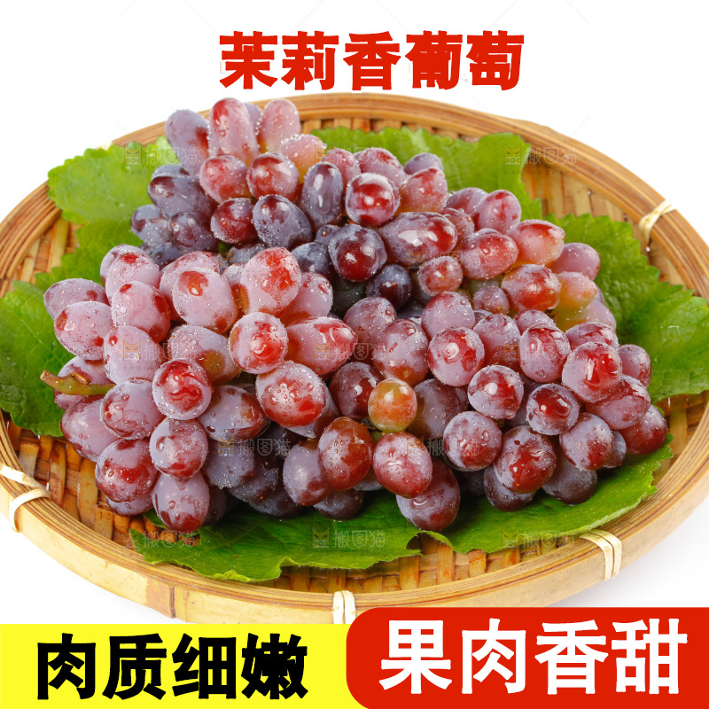 茉莉香葡萄