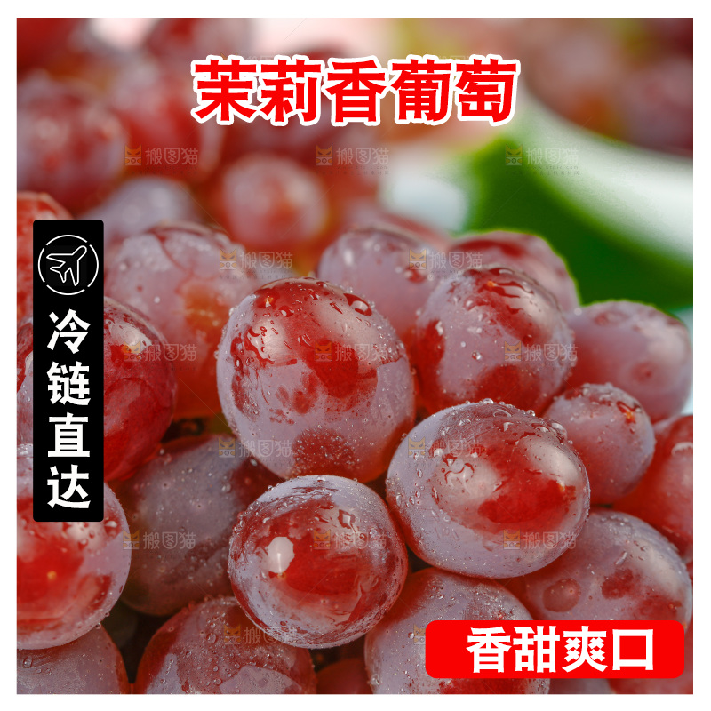 茉莉香葡萄