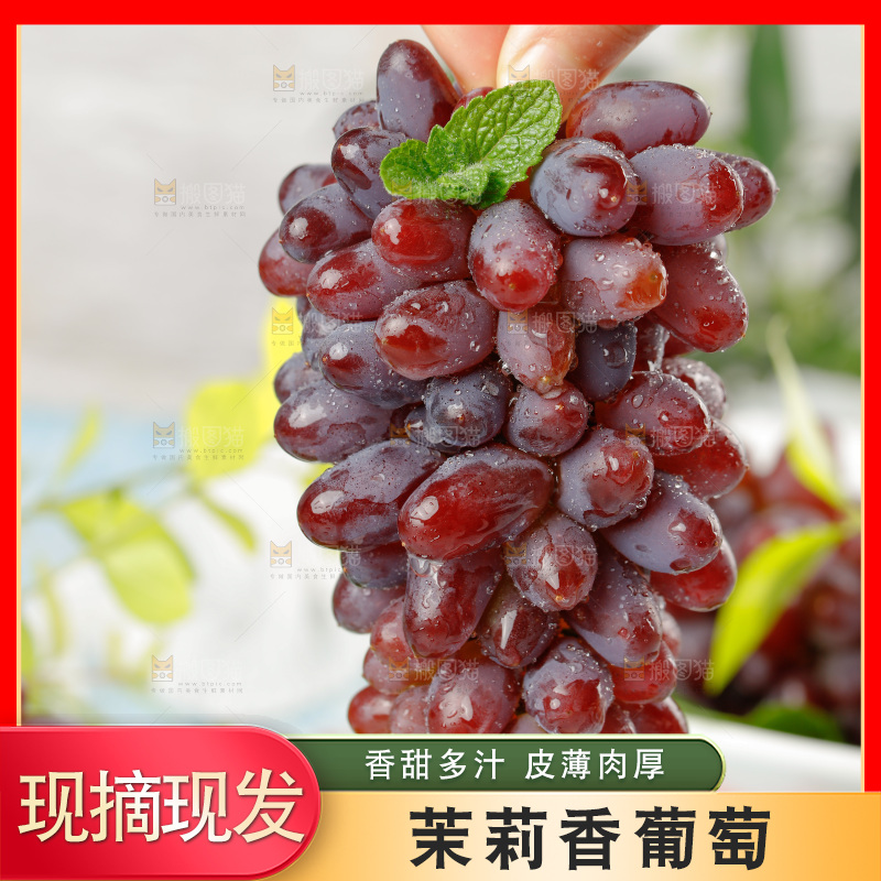 茉莉香葡萄