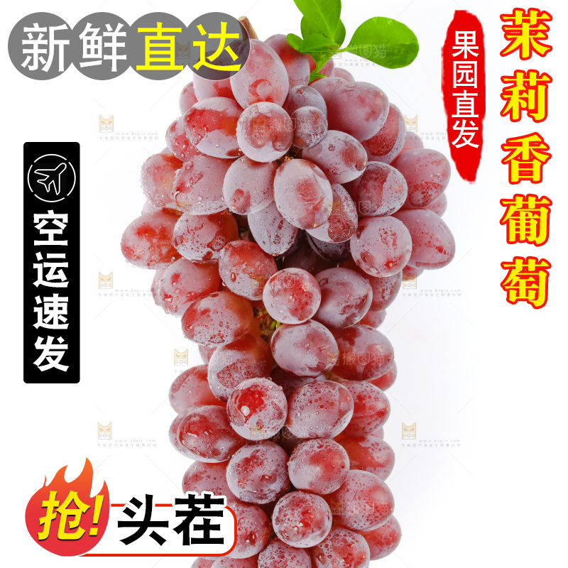 茉莉香葡萄