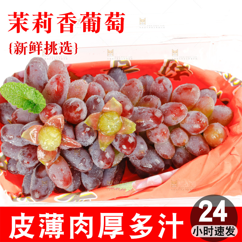 茉莉香葡萄