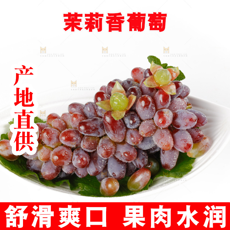 茉莉香葡萄