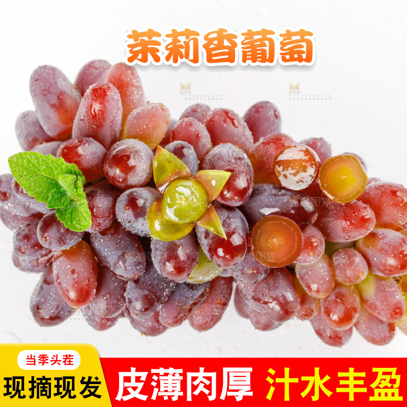 茉莉香葡萄