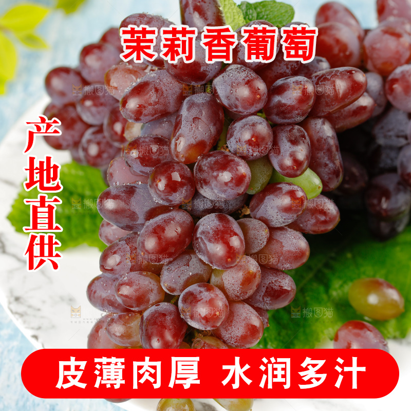 茉莉香葡萄