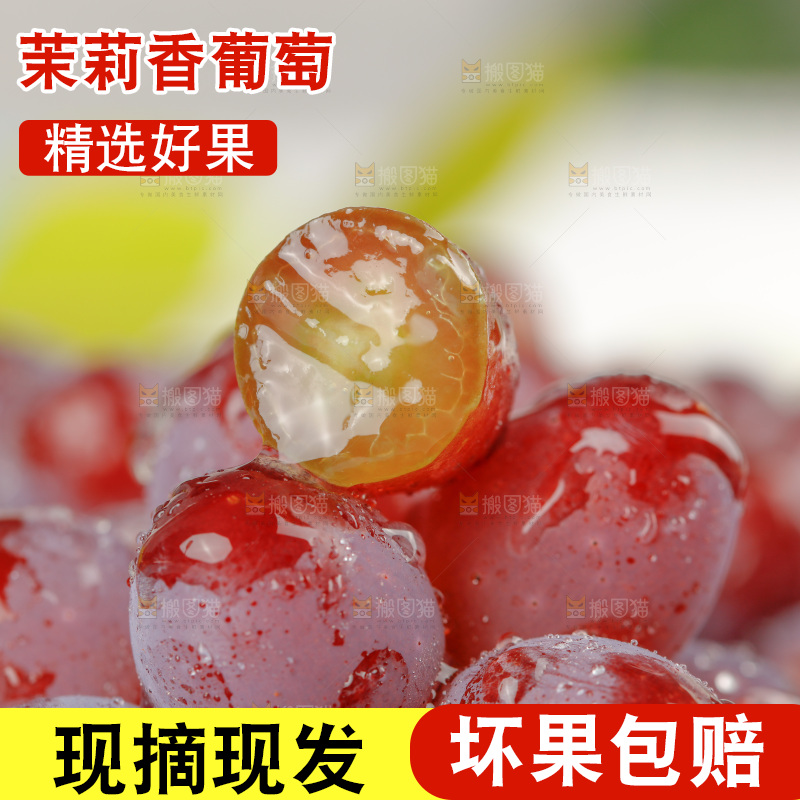 茉莉香葡萄