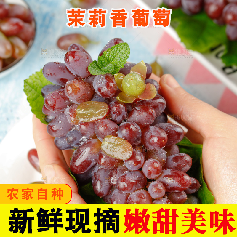 茉莉香葡萄