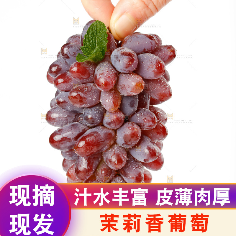 茉莉香葡萄