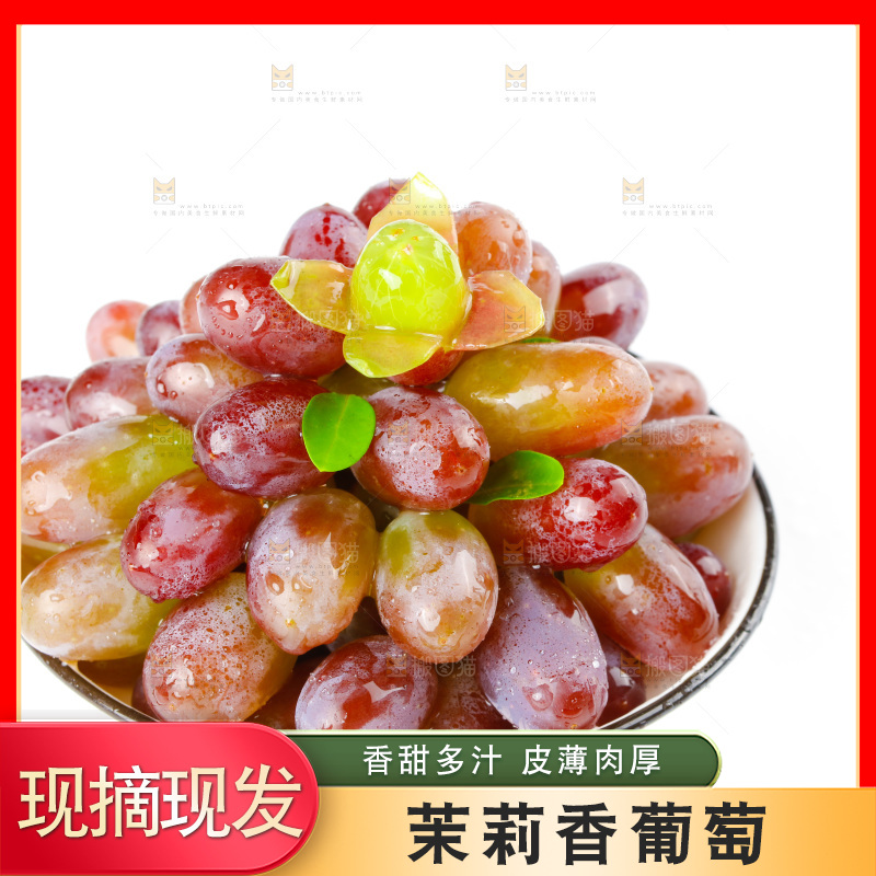 茉莉香葡萄